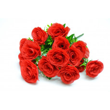 11037 Бук Камелия 18 голов  (h = 53см)
